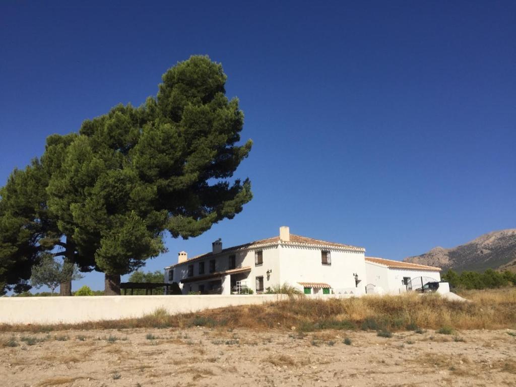 B&B Cortijo El Ciruelo Chirivel Exterior photo