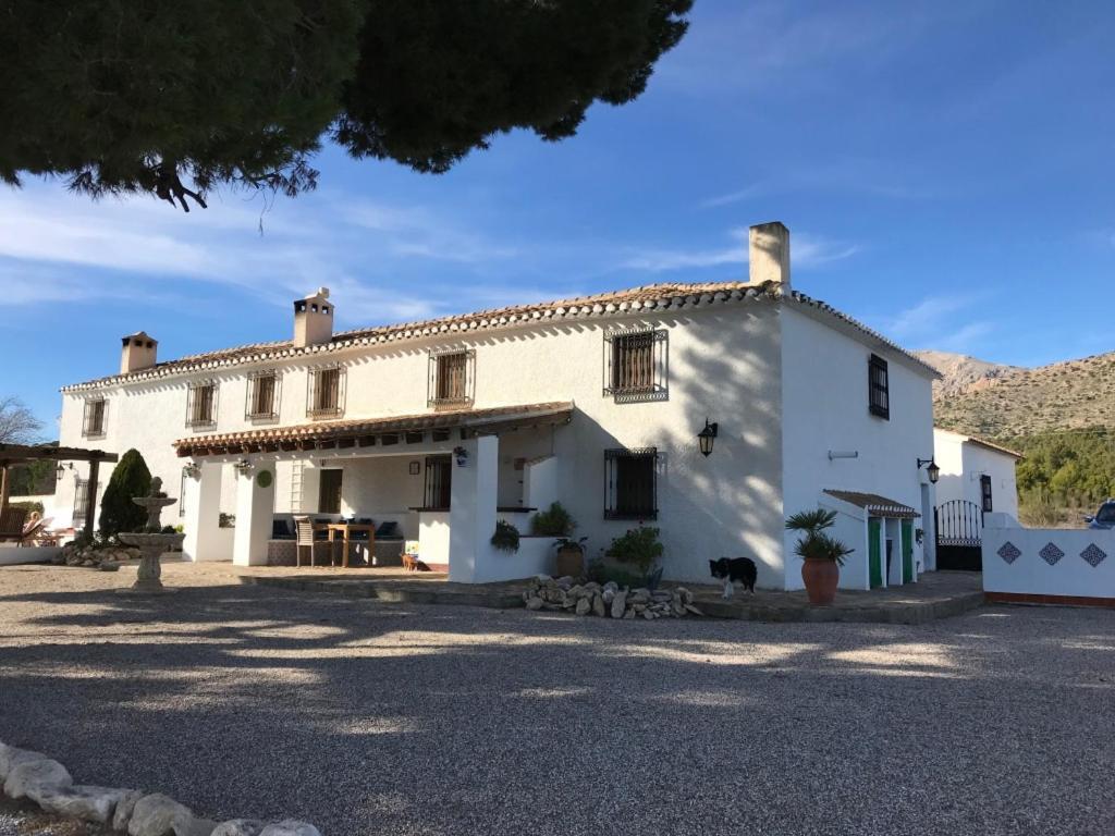 B&B Cortijo El Ciruelo Chirivel Exterior photo